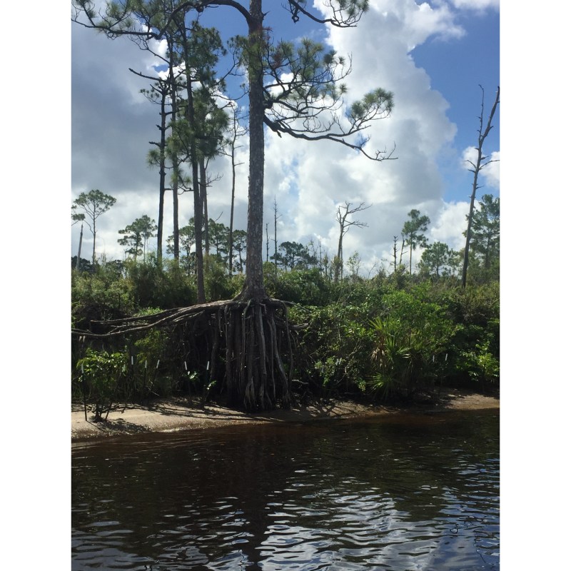 Effects Of Erosion Over The Years