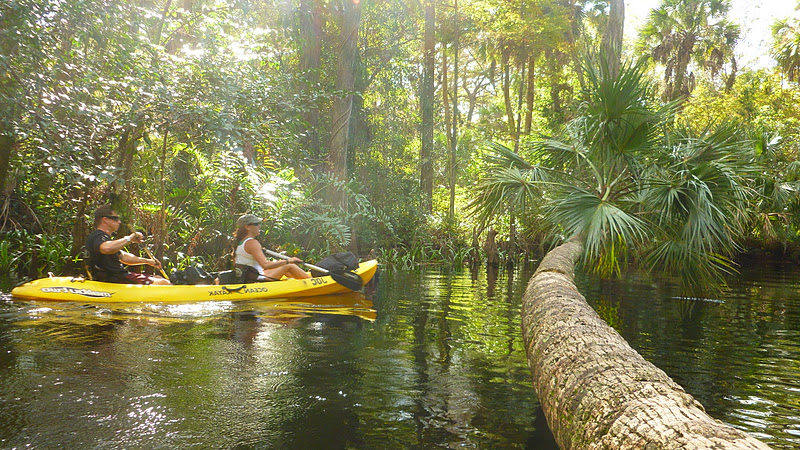 Jupiter Outdoor Center bg image