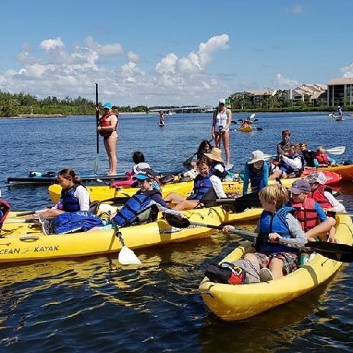 Wild & Scenic Loxahatchee River ECO-TOUR Image 1