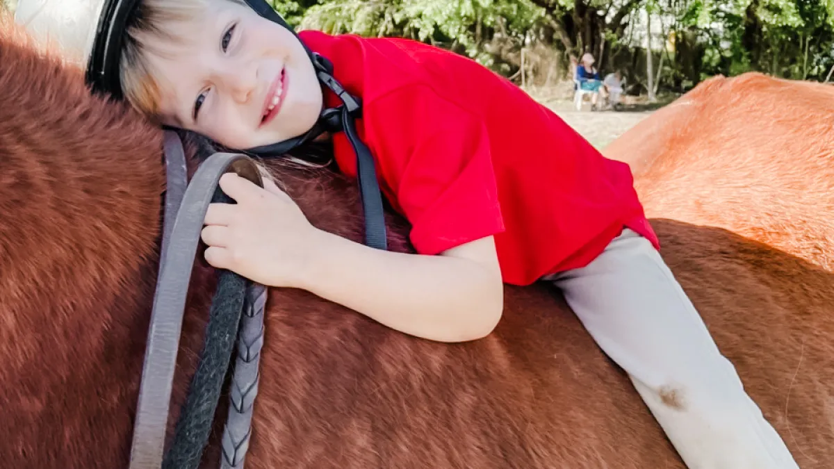 a child hugging a horse