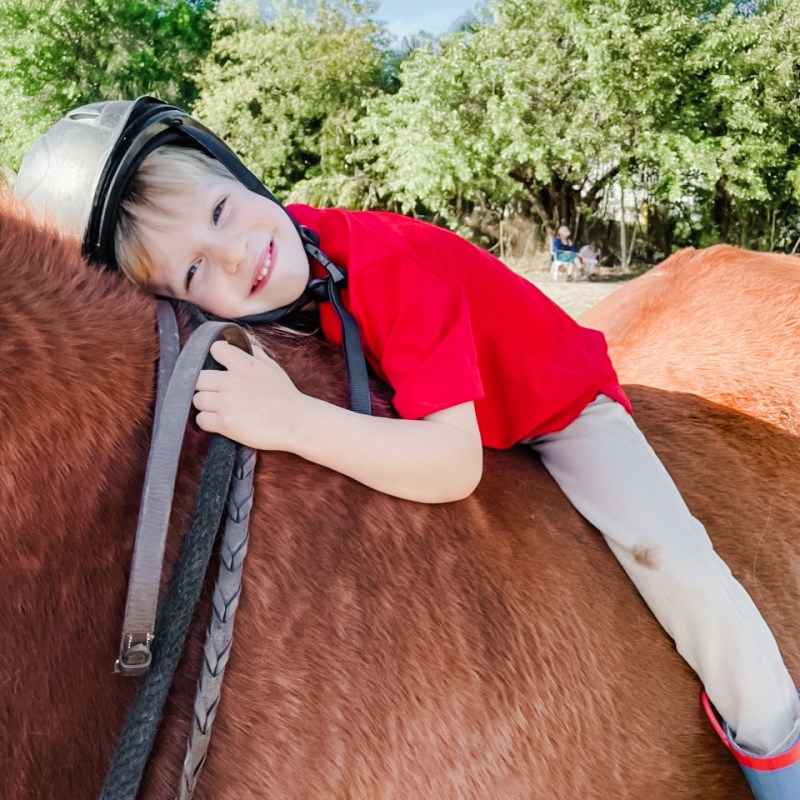 a child hugging a horse