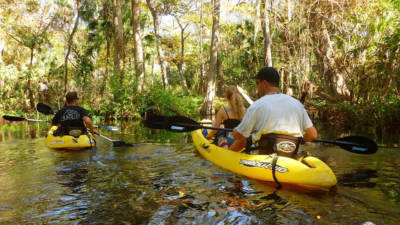 a group of people kayaking