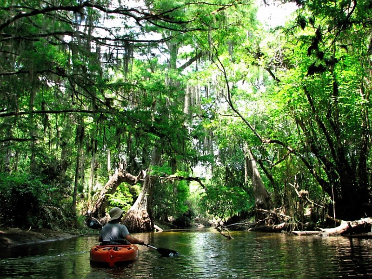 wild and scenic Loxahatchee river tour