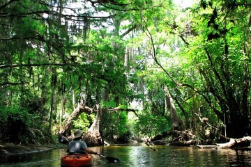 wild and scenic Loxahatchee river tour