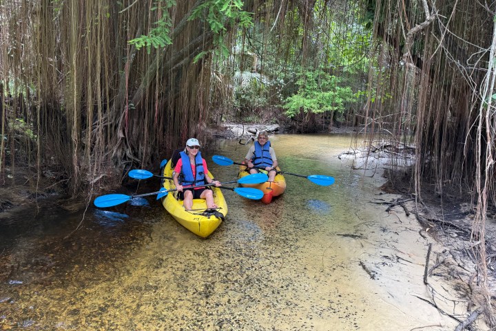 Two people kayaking through shallow water surrounded by hanging tree roots.