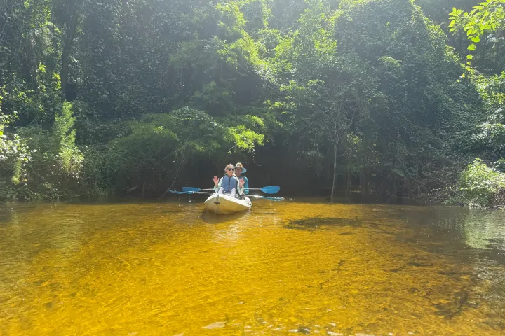 Two people kayaking on a calm, shallow river surrounded by lush greenery.