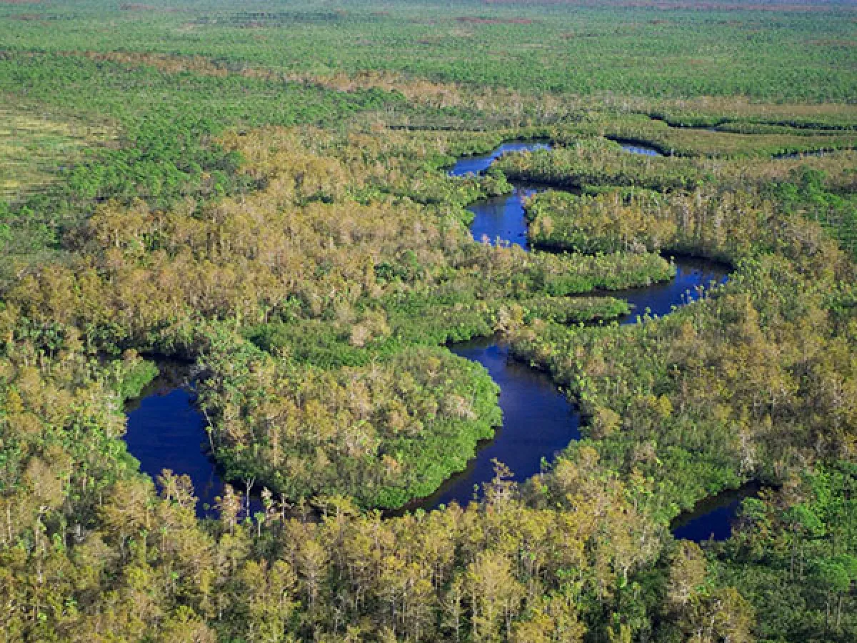 Kayak rentals in riverbend park fl jupiter outdoor center