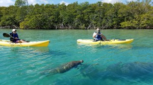 Manatees Lady Yakers