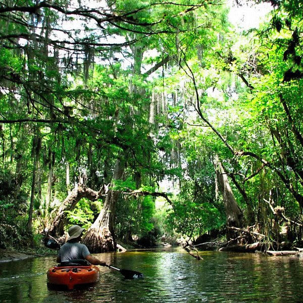 Kayakers paddling through Riverbend Park