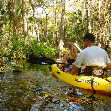 Kayakers paddling through Riverbend Park
