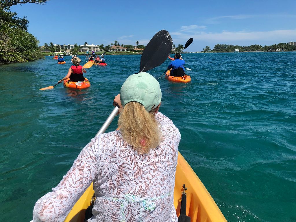 a group of people swimming in a body of water
