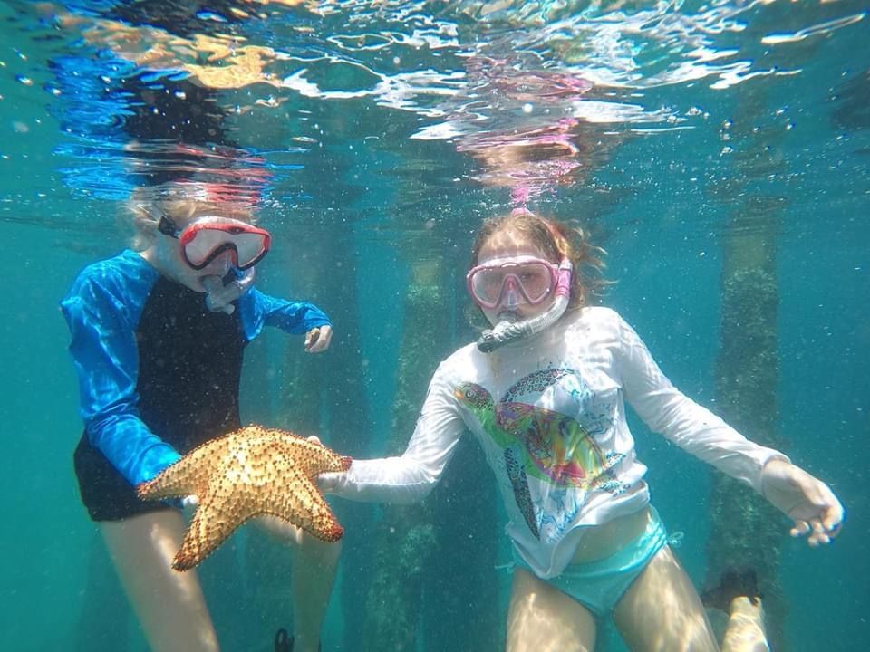things to do in jupiter- wildlife sightings - Jupiter Outdoor Center