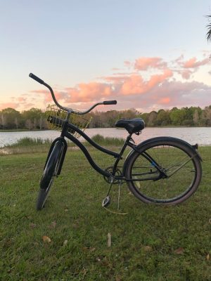 a bicycle parked in a grassy field