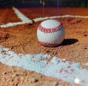 Play world class sports in Florida.