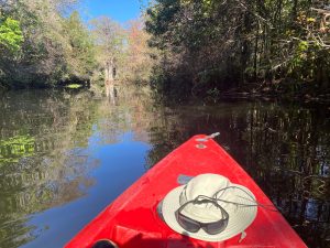 Experiencing the boat ride in backwaters.