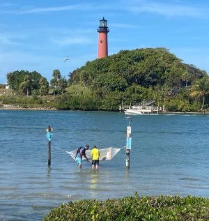a person standing next to a body of water