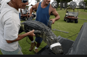 a man holding an animal