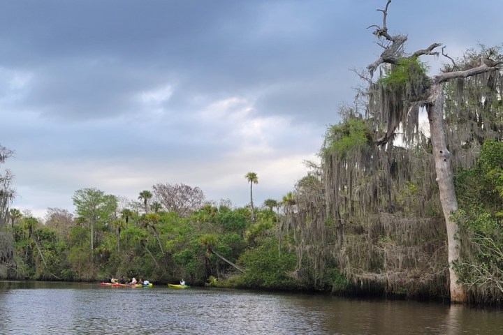 a small boat in a body of water surrounded by trees