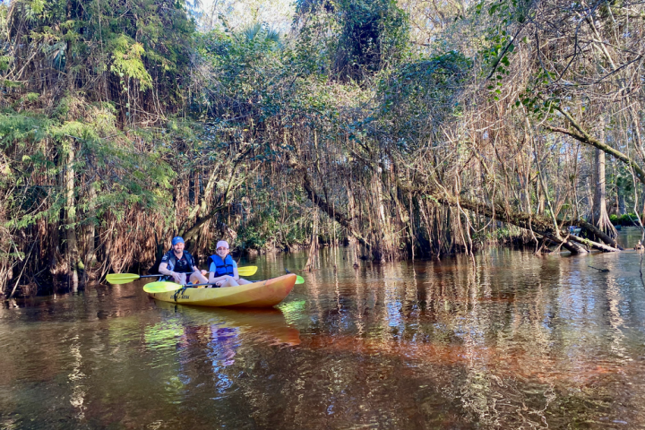a boat floating along a river next to a body of water