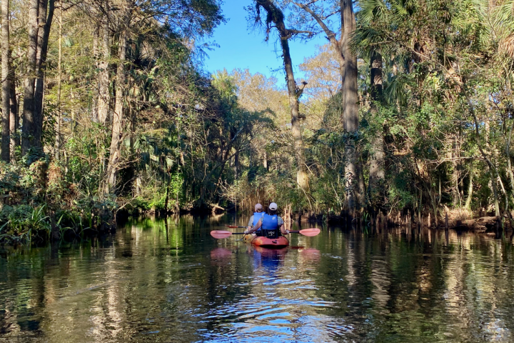 a small boat in a body of water surrounded by trees