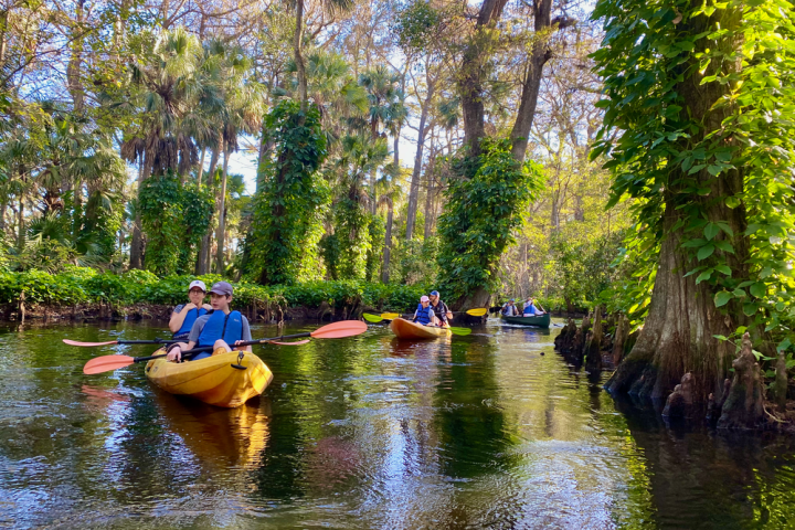 a group of people riding on the back of a boat on a river