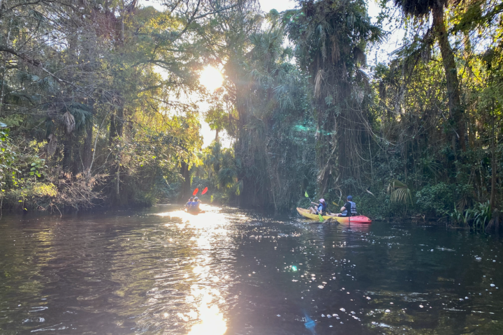 a small boat in a body of water
