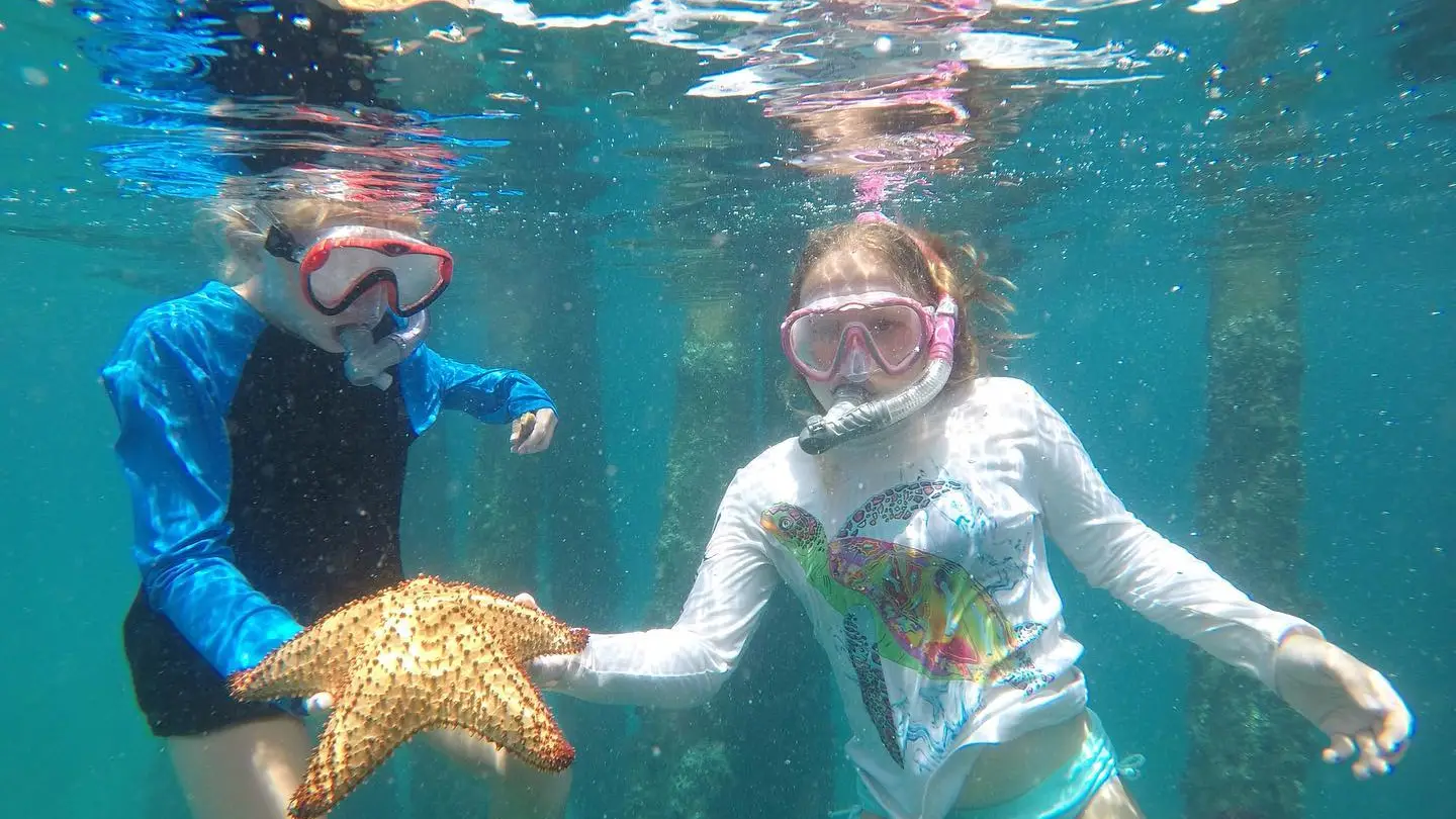a person swimming in a pool of water