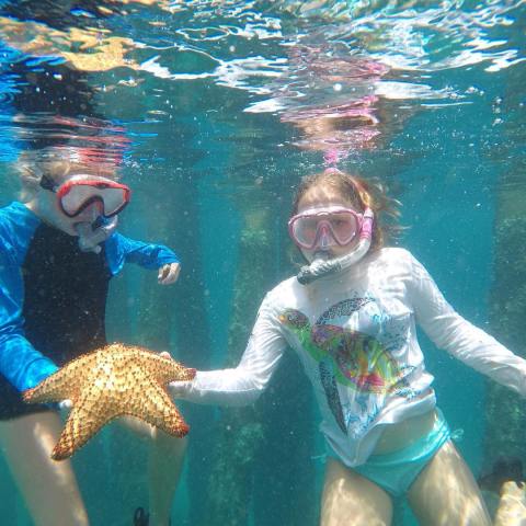 a person swimming in a pool of water