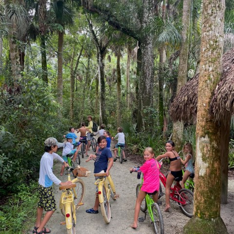 a group of kids on bikes