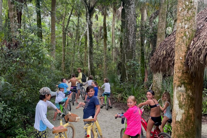 a group of kids on bikes