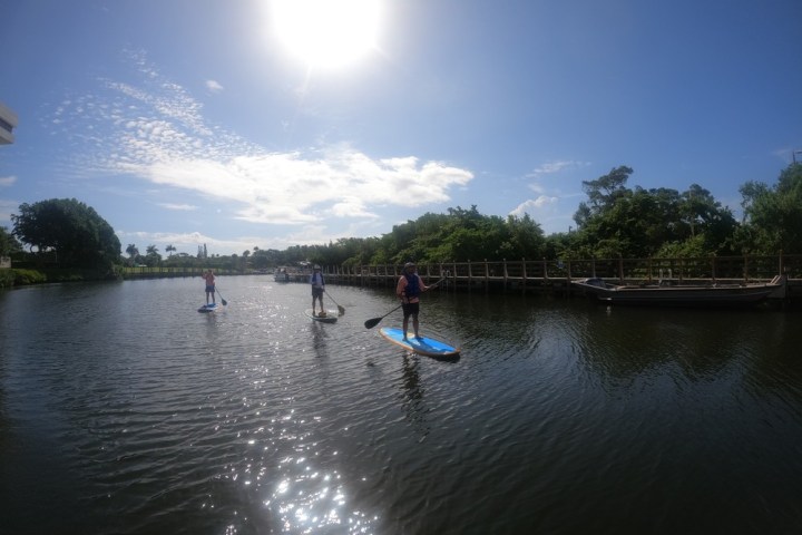 a group of people riding skis on a body of water