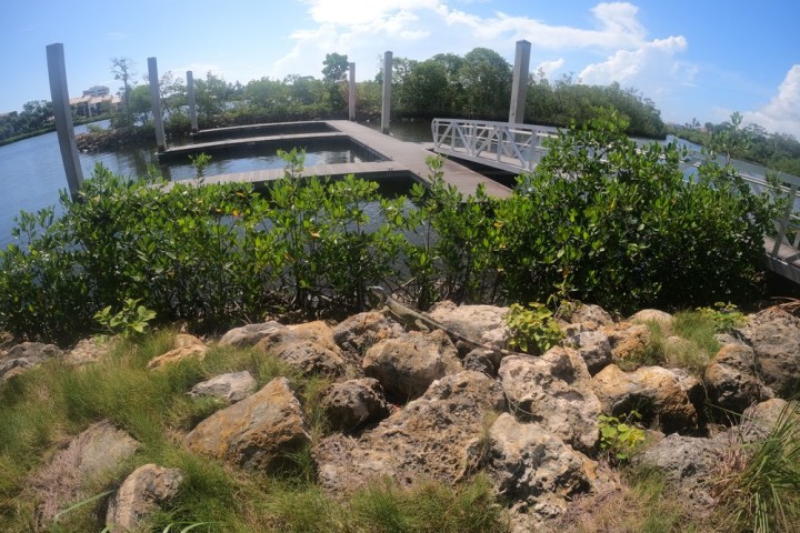 a plane sitting on top of a grass covered field