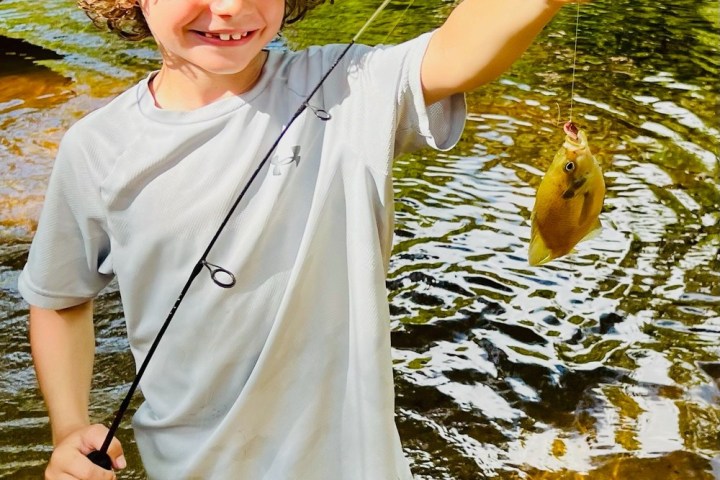 a hand holding a little boy that is standing in the water