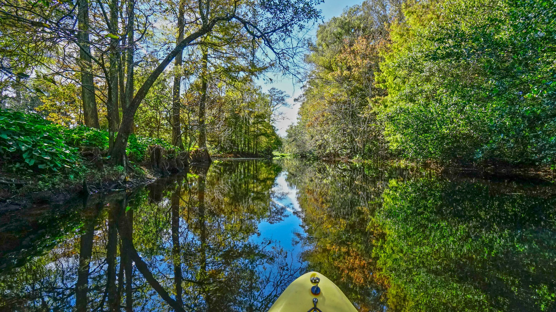 Solo kayaker paddling through calm, clear waters surrounded by lush greenery at Jupiter Outdoor Center in Jupiter, Florida. Perfect for outdoor adventure, nature exploration, and kayaking enthusiasts.