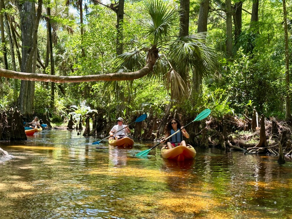 Two people kayaking on a clear, narrow river surrounded by lush green forest.