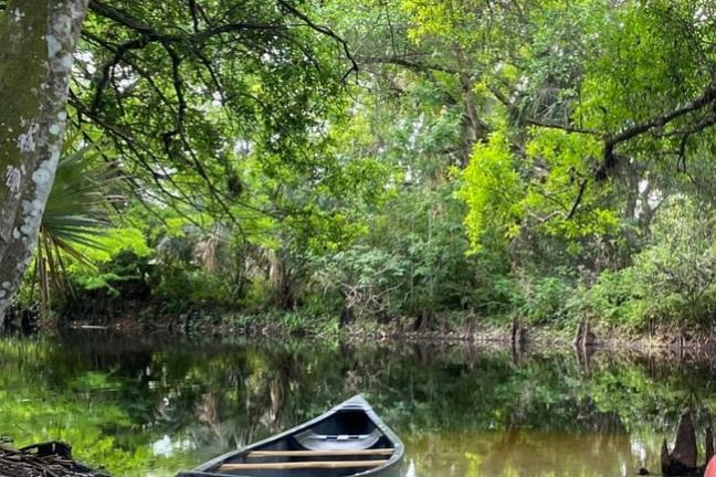 Canoe on a dirt bank by a serene forest river under lush green trees.