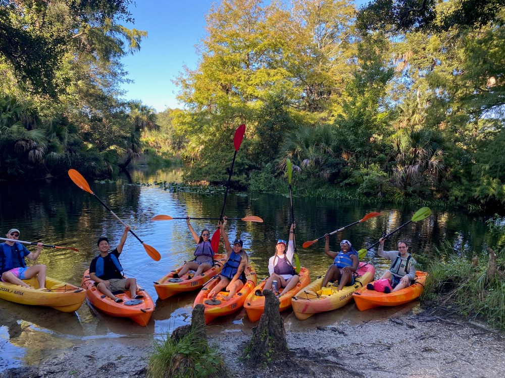 Group of kayakers holding paddles aloft on a lush, green river.