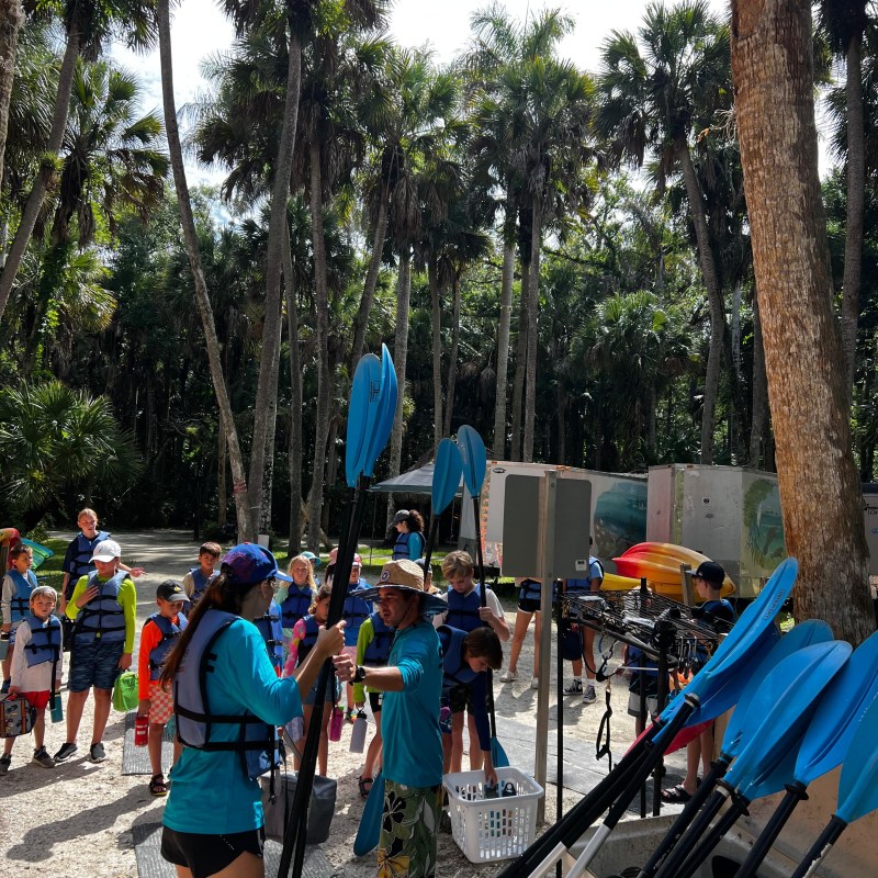 Group preparing for kayaking with paddles in a palm tree grove.