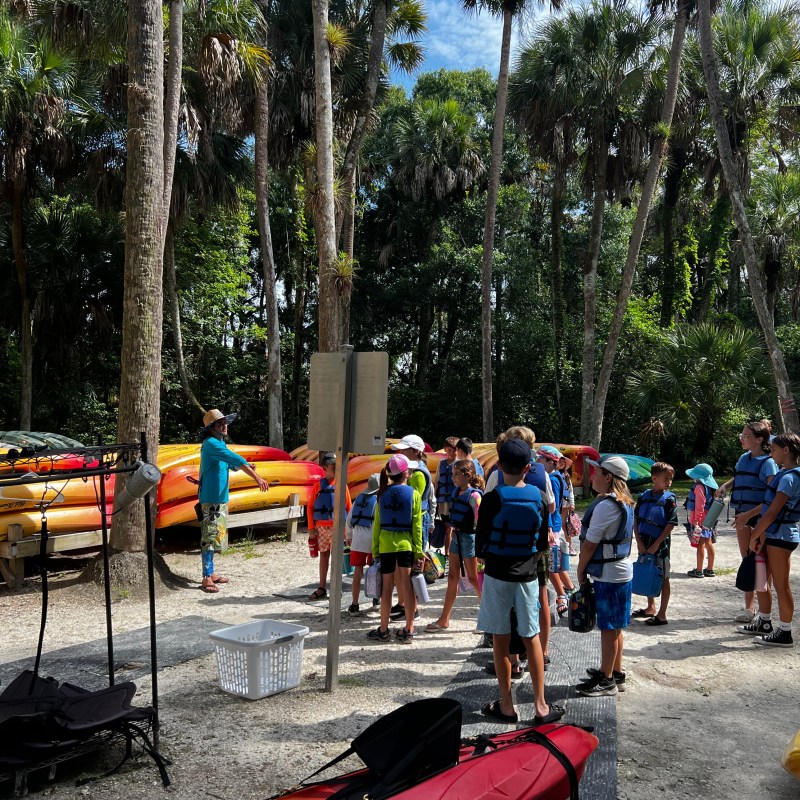 Group of people with kayaks in a forested area with tall trees.