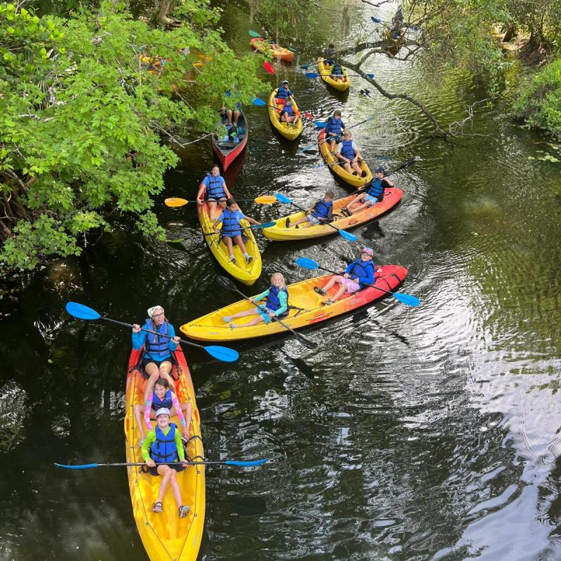 Group kayaking on a narrow river, surrounded by lush greenery.